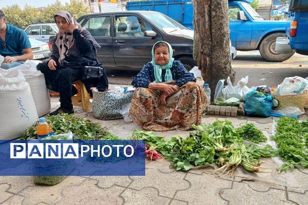 سه‌شنبه بازار شهر املش 