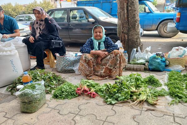 سه‌شنبه بازار شهر املش 