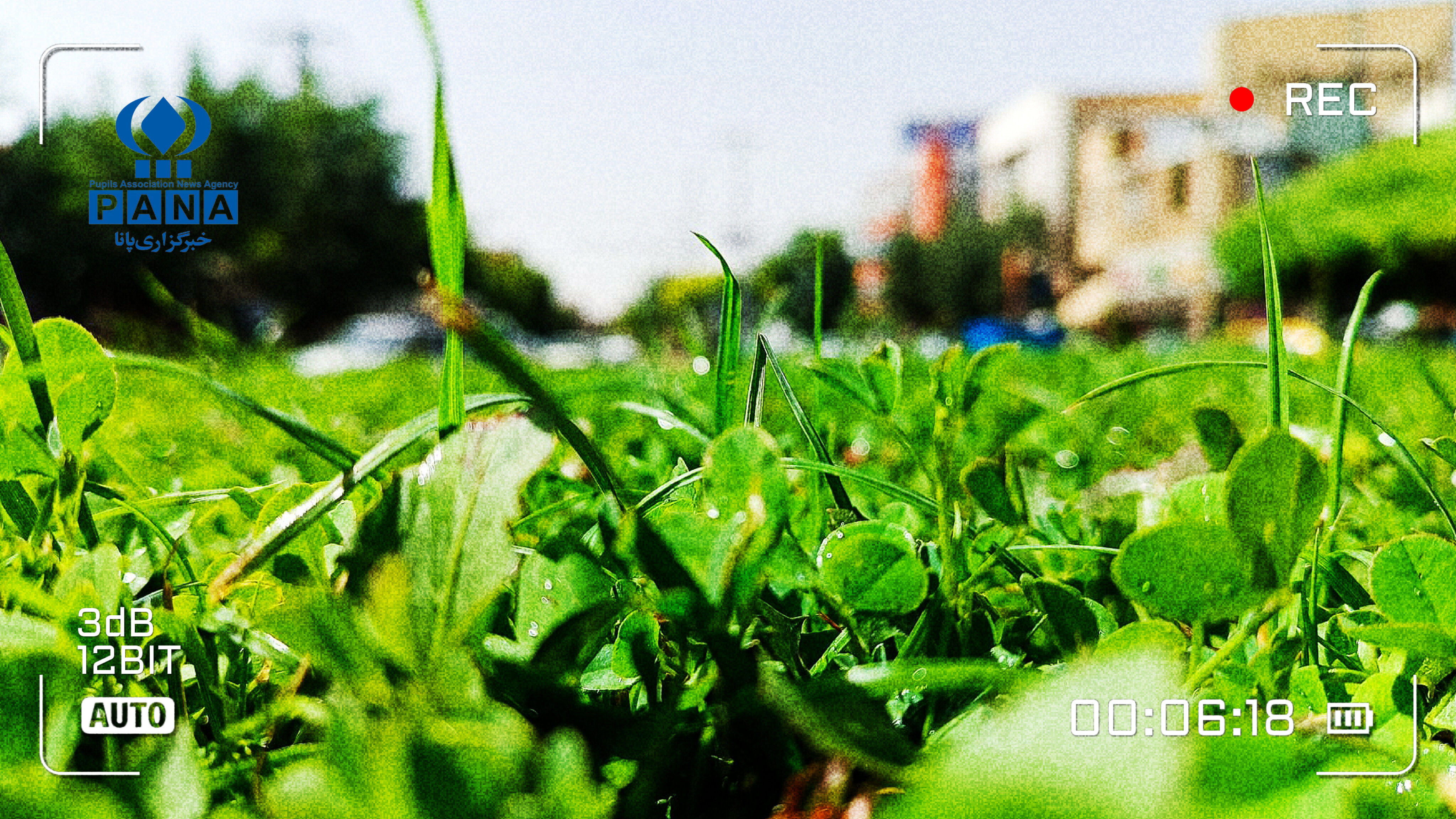 توسعه فضای سبز در دهگلان؛ گامی مهم برای سلامت و رفاه شهروندان