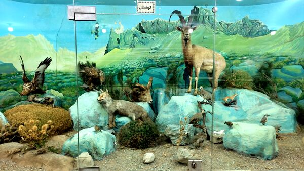 بازدید علمی دانش‌آموزان دبستان شاهد حاج تقی آقا‌بزرگ از پژوهش‌سرای علامه طباطبایی ناحیه یک مشهد