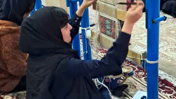 موج رنگها در جشنواره فردا