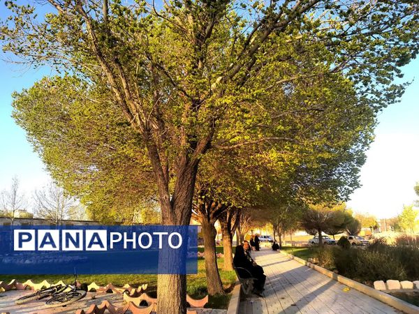 فصل بهار؛ آغاز پادشاهی سبزه و گل‌ها بر شهرستان بروجن