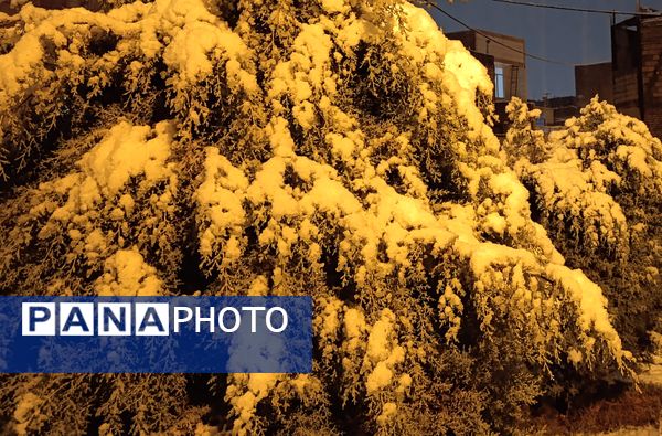 رحمت الهی برف بهاری بر دیار سلسله الذهب