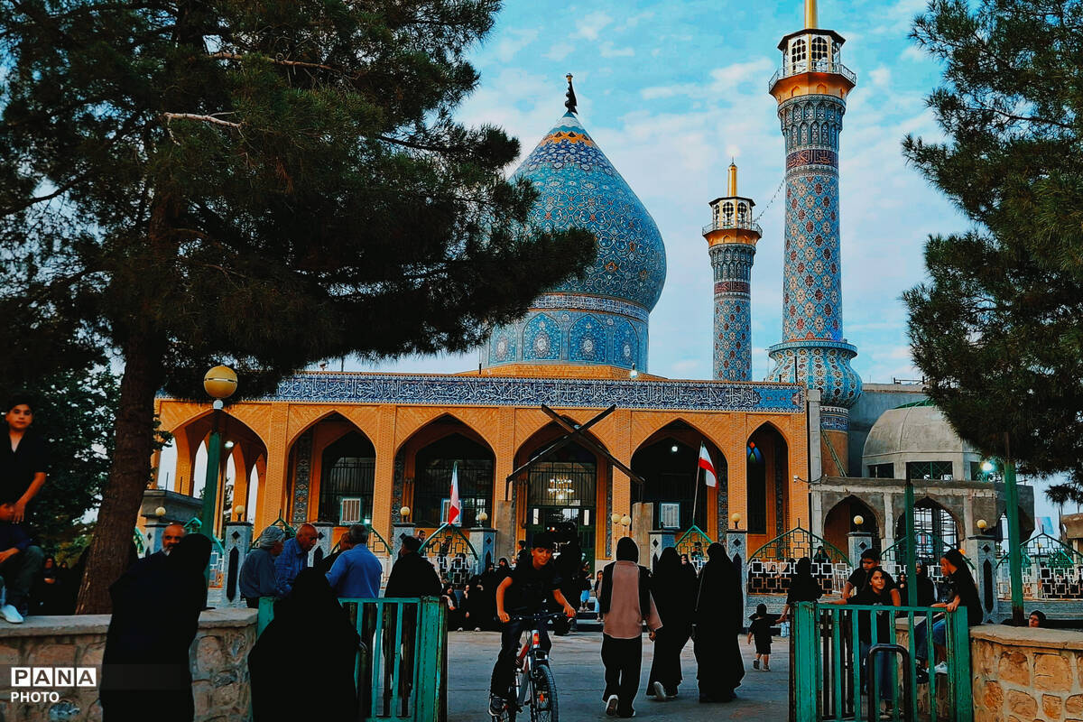 شهر بهمن در سوگ هشتمین اختر امامت