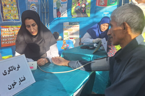 همایش پیاده‌روی خانوادگی در شیراز 