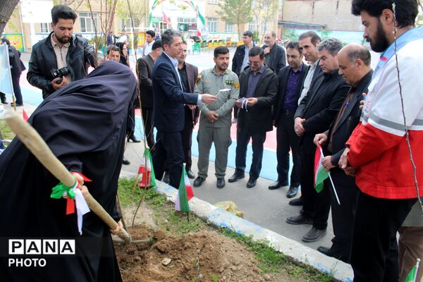کاشت نهال همزمان با چهلمین روز شهادت فرشتگان میناب 