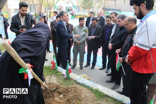 کاشت نهال همزمان با چهلمین روز شهادت فرشتگان میناب 