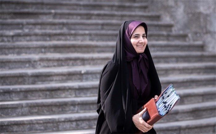 جنیدی: رئیس جمهوری می‎‌تواند پیشنهاد همه‎پرسی دهد