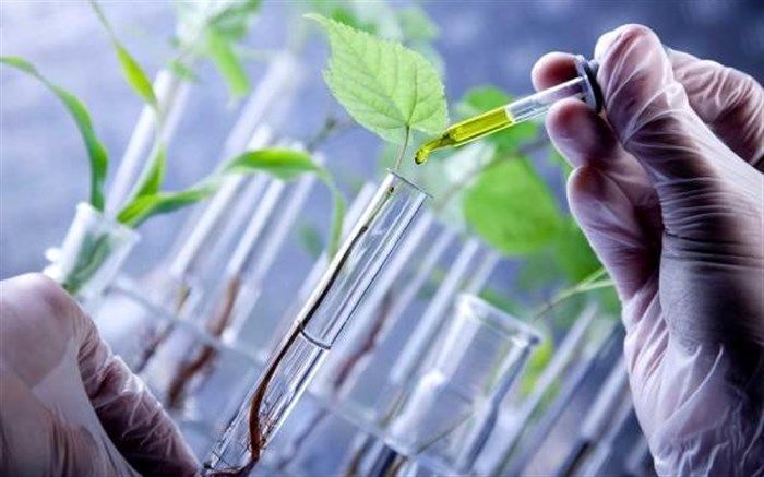 سمینار ترویجی زیست فناوری دانش آموزی استان یزد برگزار شد