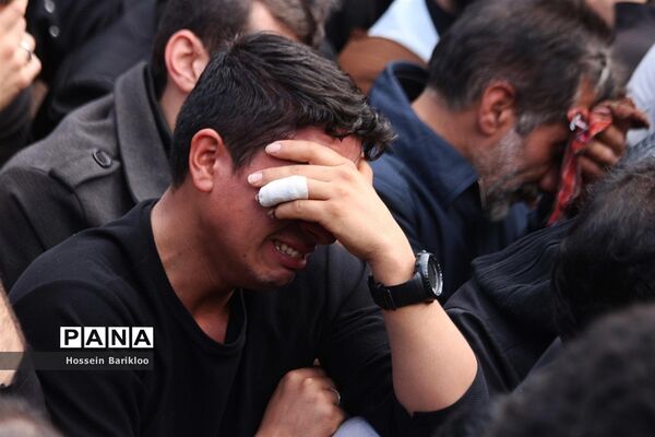 دسته عزاداری مراجع تقلید