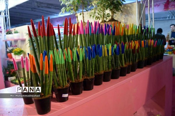 جشنواره ملی گل و‌گیاه در بابل