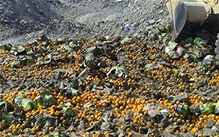 امحاء 23 تن میوه قاچاق در خراسان جنوبی