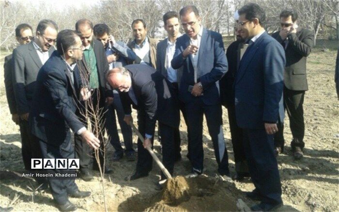 اجرای طرح بیابان زدایی در ۴۰ هزار هکتار کانون بحرانی البرز