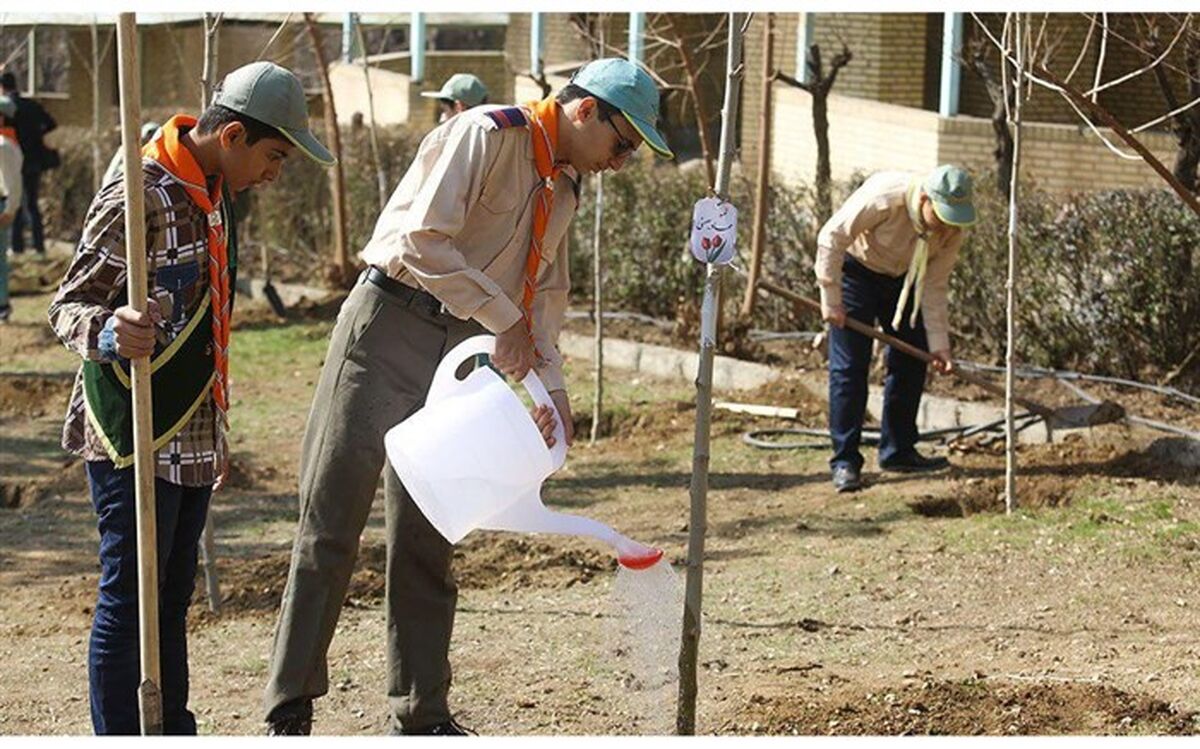 کاشت 6500 اصله نهال در طول هفته درختکاری