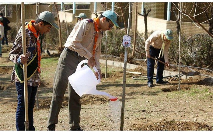 کاشت 6500 اصله نهال در طول هفته درختکاری