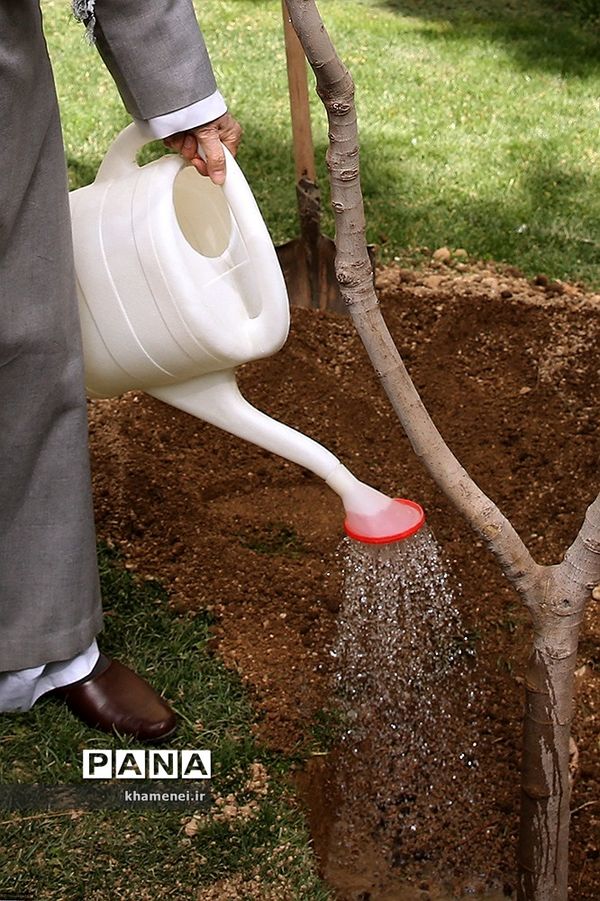 کاشت نهال توسط رهبر انقلاب در روز درختکاری