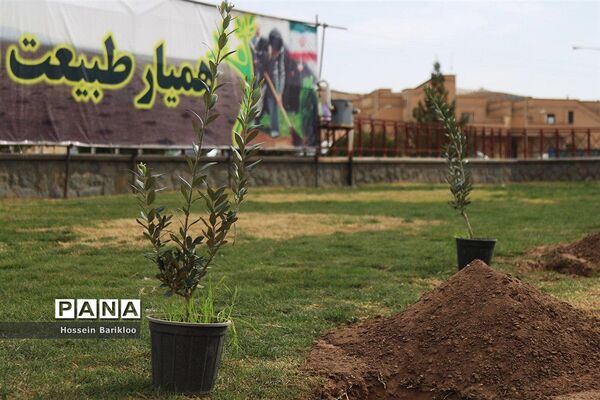 آیین کاشت نهال در قم