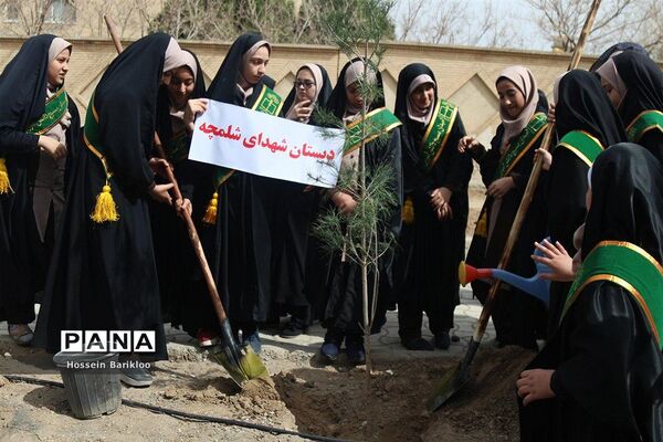 آیین کاشت نهال در قم