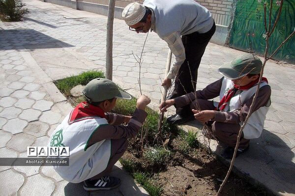 کاشت  نهال در مدرسه شاهد پسرانه  شهرستان بشرویه