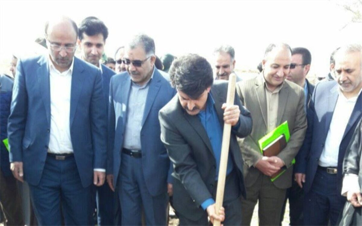 صیانت و حفاظت از جنگل ها یک الزام است