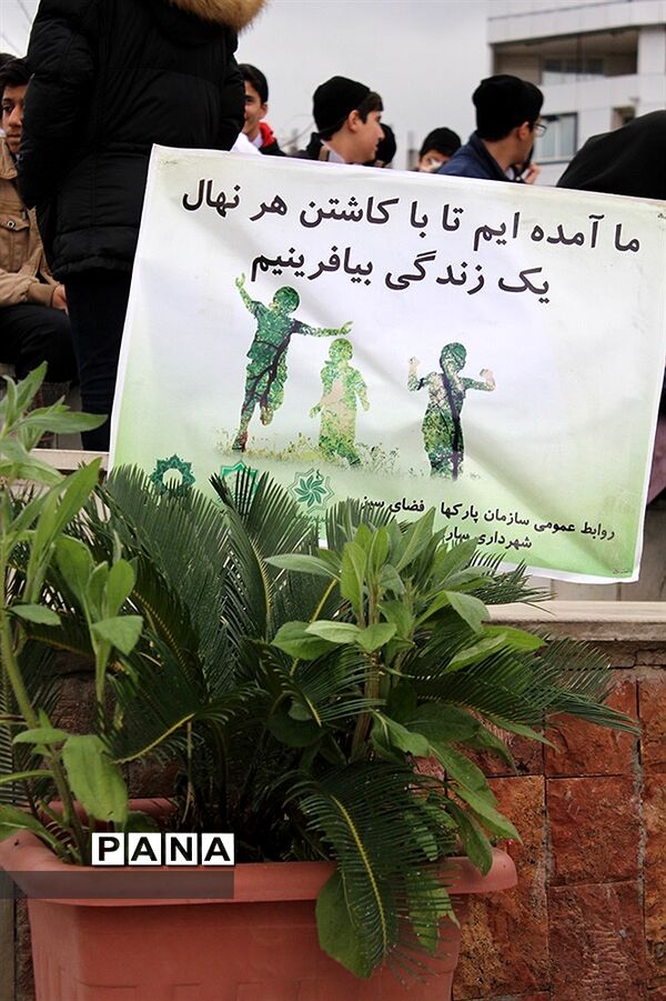 آیین درختکاری با حضور اعضای تشکیلات سازمان دانش‌آموزی در شهرستان ساری