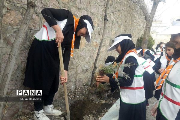 مراسم روز درختکاری با حضور دانش آموزان پیشتاز در مدارس استان کردستان