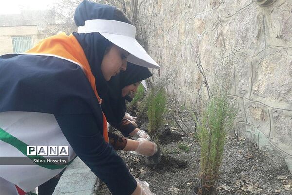 مراسم روز درختکاری با حضور دانش آموزان پیشتاز در مدارس استان کردستان