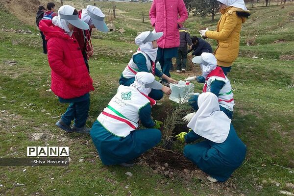مراسم روز درختکاری با حضور دانش آموزان پیشتاز در مدارس استان کردستان