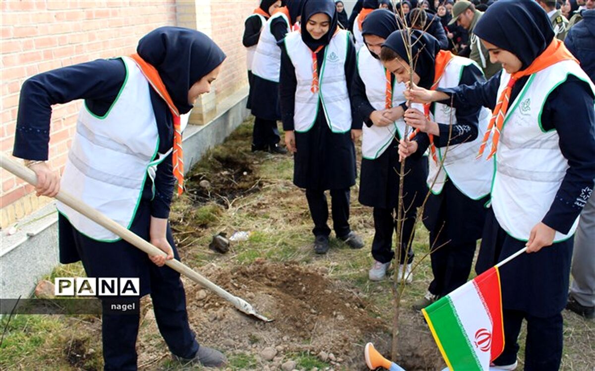 توزیع 300 هزار نهال در راستای توسعه جنگل‌کاری در اردبیل