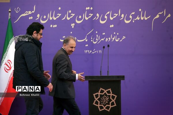 طرح احیای درختان چنار خیابان ولیعصر(عج)