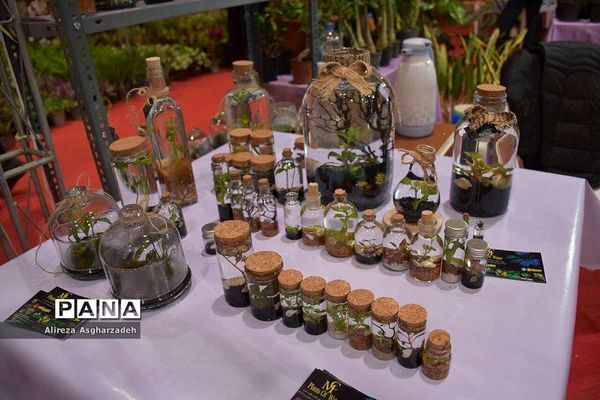 اولین جشنواره ملی گل و گیاه در مجتمع شهید عظیمی بابلسر