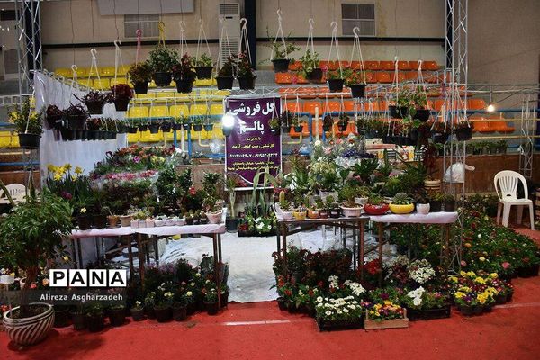 اولین جشنواره ملی گل و گیاه در مجتمع شهید عظیمی بابلسر