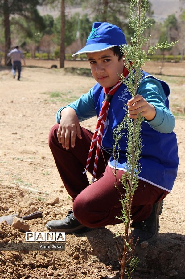 بنشانیم درخت تا طبیعت نفسی تازه کند