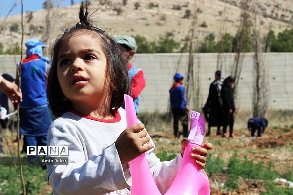 بنشانیم درخت تا طبیعت نفسی تازه کند