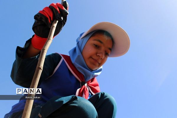 بنشانیم درخت تا طبیعت نفسی تازه کند