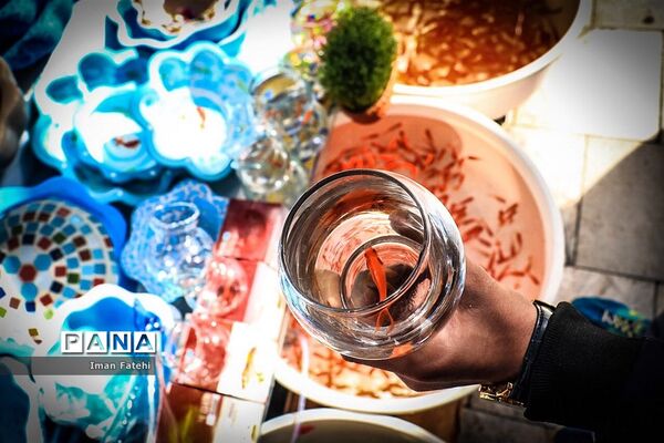 ماهی قرمز
