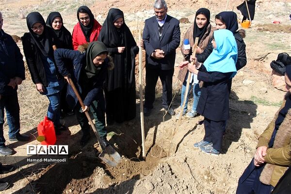 مراسم درختکاری شهرداران مدارس تبریز در تفرجگاه عون بن علی