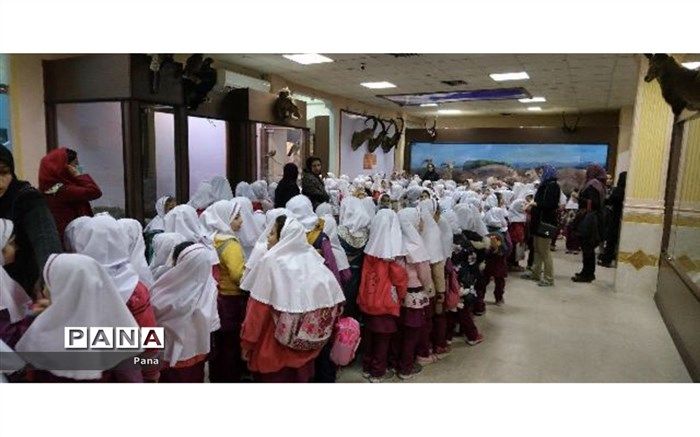 افزایش بی سابقه تعداد بازدیدکنندگان دانش آموز از موزه تاریخ طبیعی و تنوع زیستی