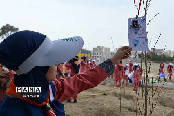 جشن تولد زمین