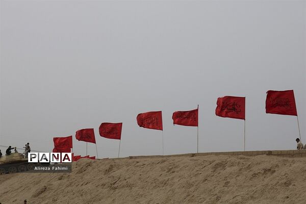 ستارگان جاوید