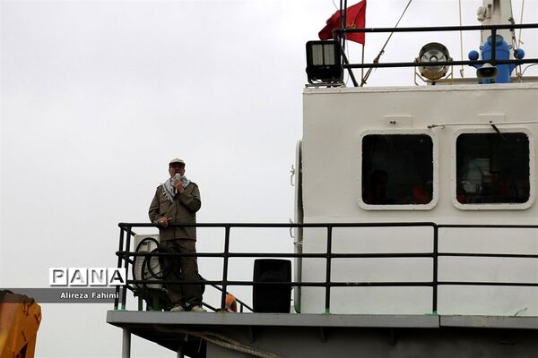 ستارگان جاوید
