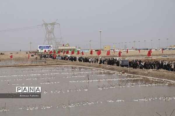 ستارگان جاوید
