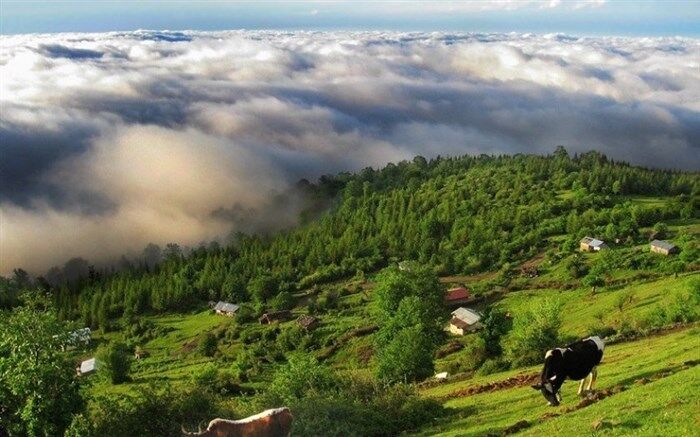 افزایش پنج درصدی بازدید گردشگران نوروزی از روستاهای مازندران