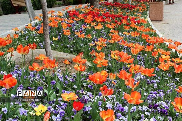 پارک لاله تهران در بهار طبیعت