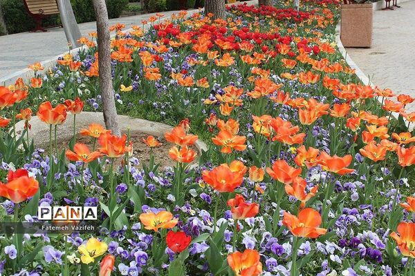 پارک لاله تهران در بهار طبیعت