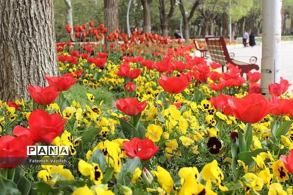پارک لاله تهران در بهار طبیعت