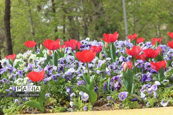 پارک لاله تهران در بهار طبیعت