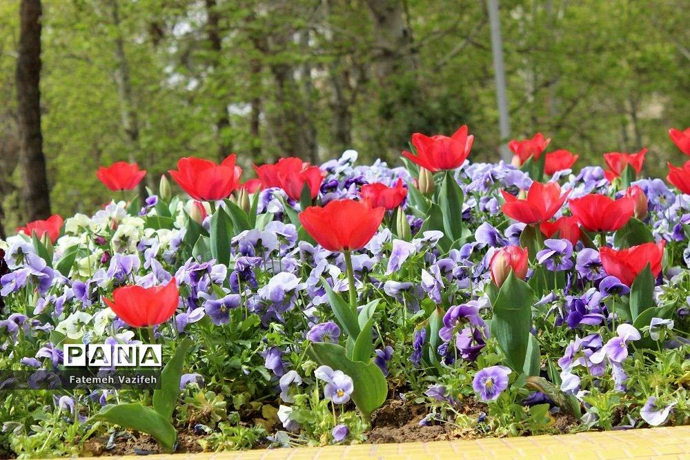 پارک لاله تهران در بهار طبیعت