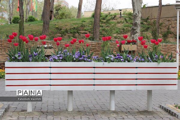 پارک لاله تهران در بهار طبیعت
