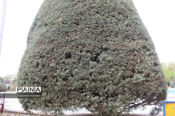 پارک لاله تهران در بهار طبیعت